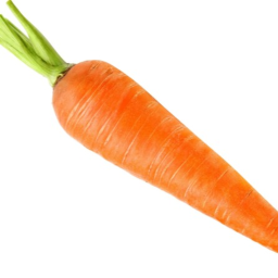 Carrot