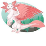 Dragons and Axolotl’s