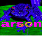 THE ARSON FAM