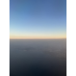 자유 그룹 욕설금지
