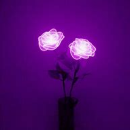 Purple aesthetic Roblox decal