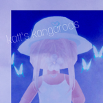 katt’s kangaroos