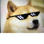 Doge Fans MLG