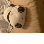 PAN THE PANDA