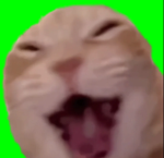 nxppe