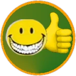 Met Owner Roblox badge thumbnail