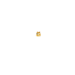 Microscopic Doge