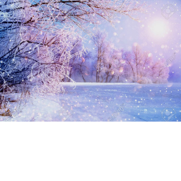 nature life