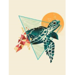 turtle girl club