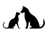 Cats Vs Dogs!