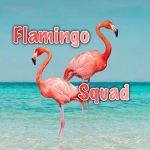 !Flamingo Squad!