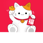 Kitty group (crazy)