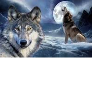 Wolf Mystery