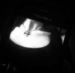 Haunteddx