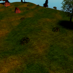 Realistic Graphics Island