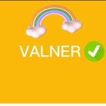 TEAM VALNER