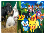ANIMALS VS POKEMON