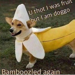 Helpmelockedout