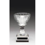 Pristine Cup Development