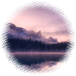 Reflections