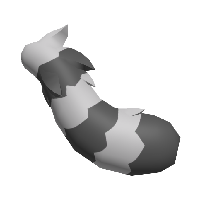 Raccoon Tail