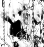 ' pet