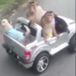 Funky Monkey gif