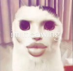 Cats are the BOMB