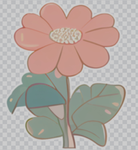 the wildest flowers