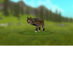 WolfClan (Warrior cats) The Clan of all Clans