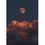 #Moonlight Magic