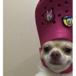 - $D0LLED0UT