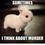 Sakura Sqaud!