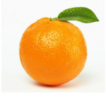 The Group Of Oranges