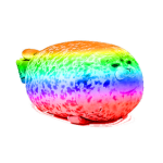 Team epik seal