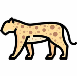 Leopord's Design Clothing Store