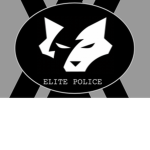 ELITE SILVER MILITARY POLICE