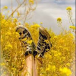 𝙳𝚎𝚖𝚘𝚗𝚜 