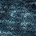 The Cheetah Girlz