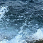 ~ oceanix ~