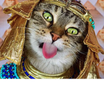 Best Cat Group Ever