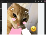 MEOW MEOW CAT GROUP MEMEME