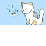 -CAT SHARKS