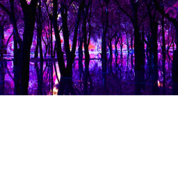 Ghosty Swamp