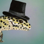 Lizard Family