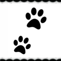 🐾⋆🦴