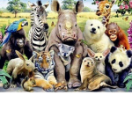 AnimalBffs