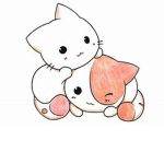 Cute Kittens LOL