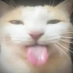 polqroid