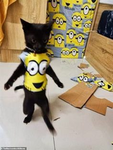 bleeeeeeeeeeh
